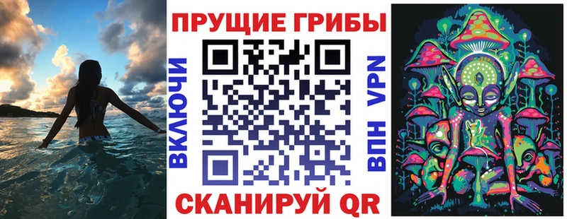 как найти закладки Болхов ОМГ ОМГ как войти Галлюциногенные грибы Psilocybine cubensis