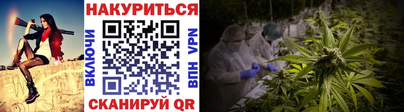 Каннабис SATIVA & INDICA Болхов